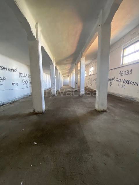 immagine annuncio 5 di 8