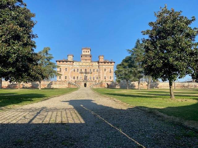 immagine annuncio 7 di 8