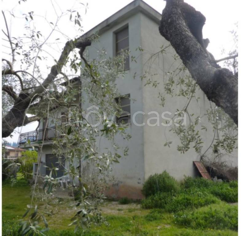 immagine annuncio 2 di 11