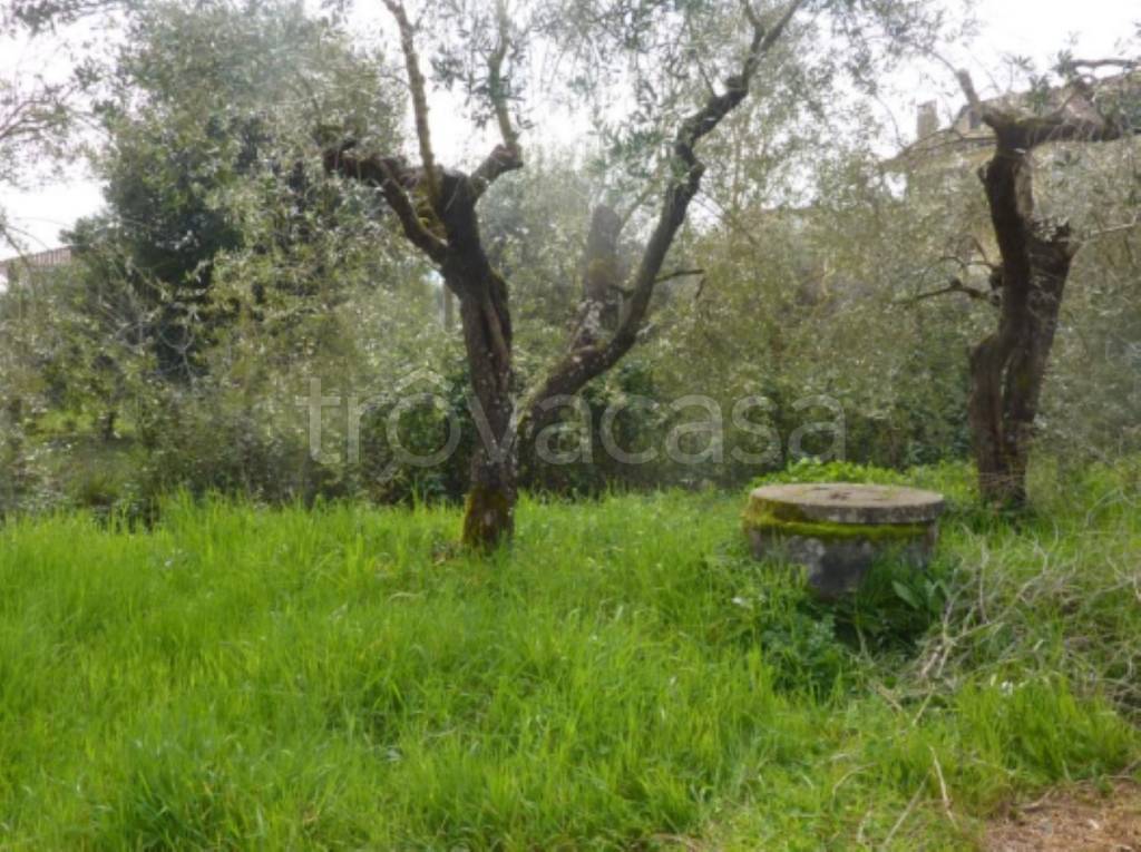 immagine annuncio 6 di 11