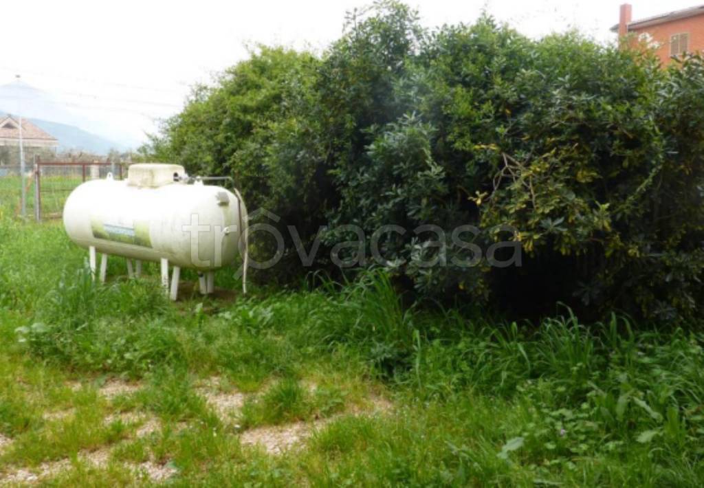 immagine annuncio 7 di 11