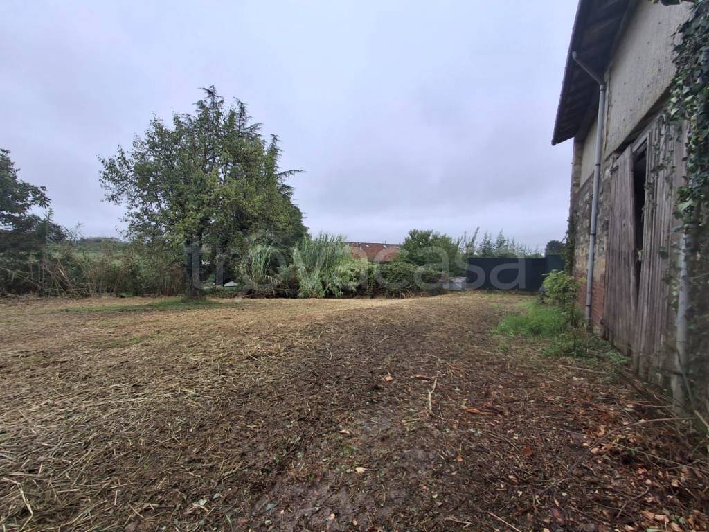 immagine annuncio 4 di 7