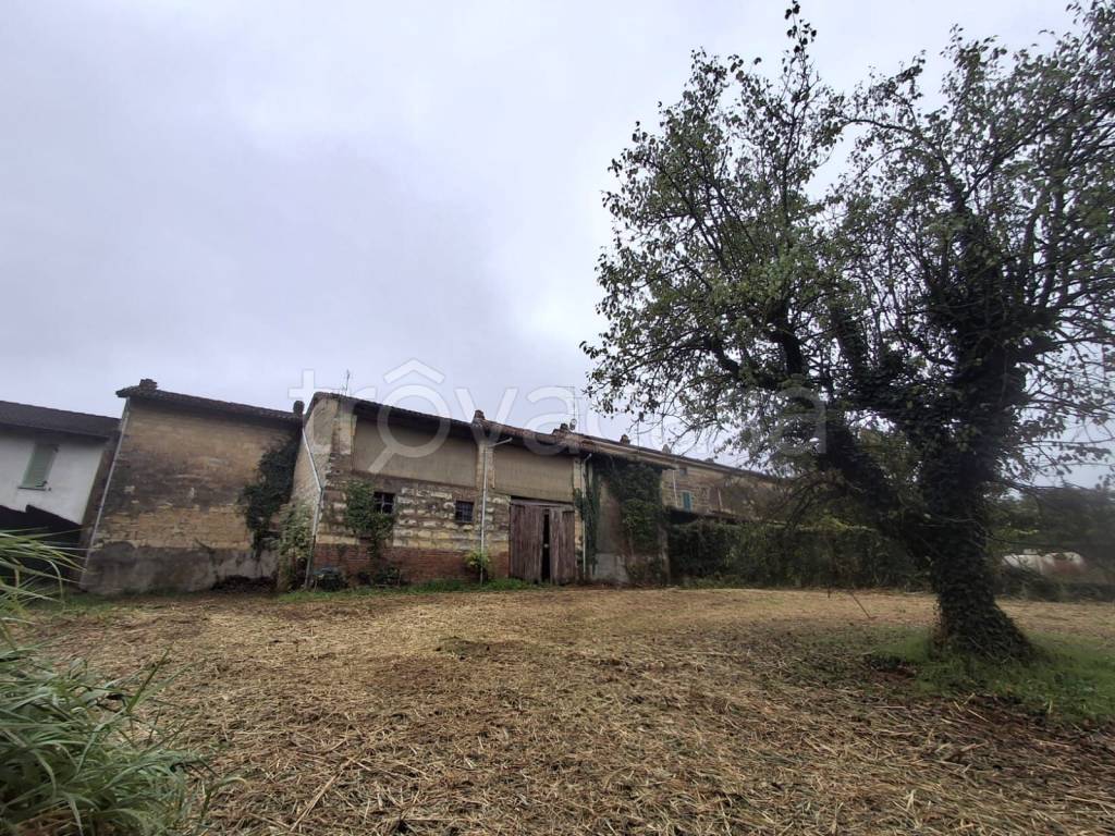 immagine annuncio 3 di 7