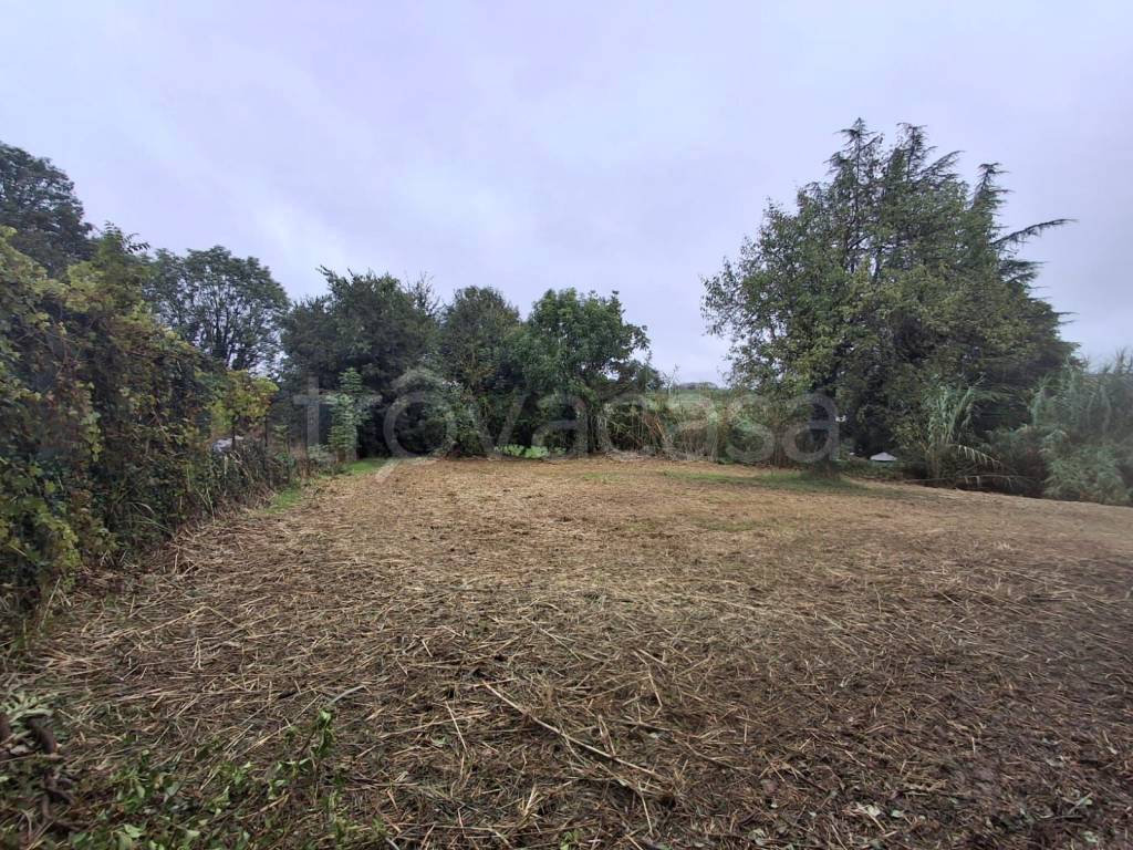 immagine annuncio 5 di 7