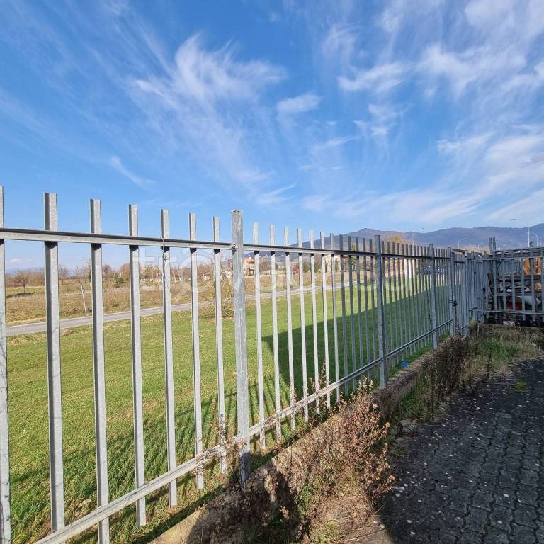 immagine annuncio 4 di 11