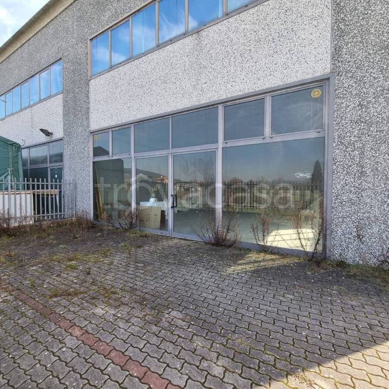 immagine annuncio 2 di 11