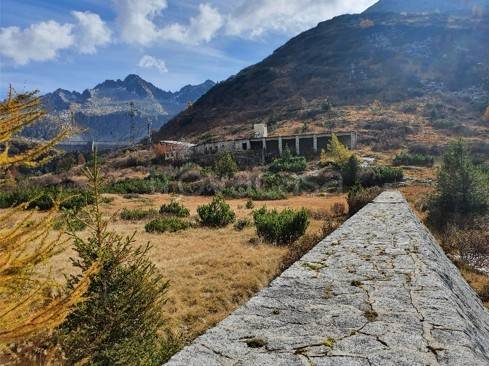 immagine annuncio 3 di 6