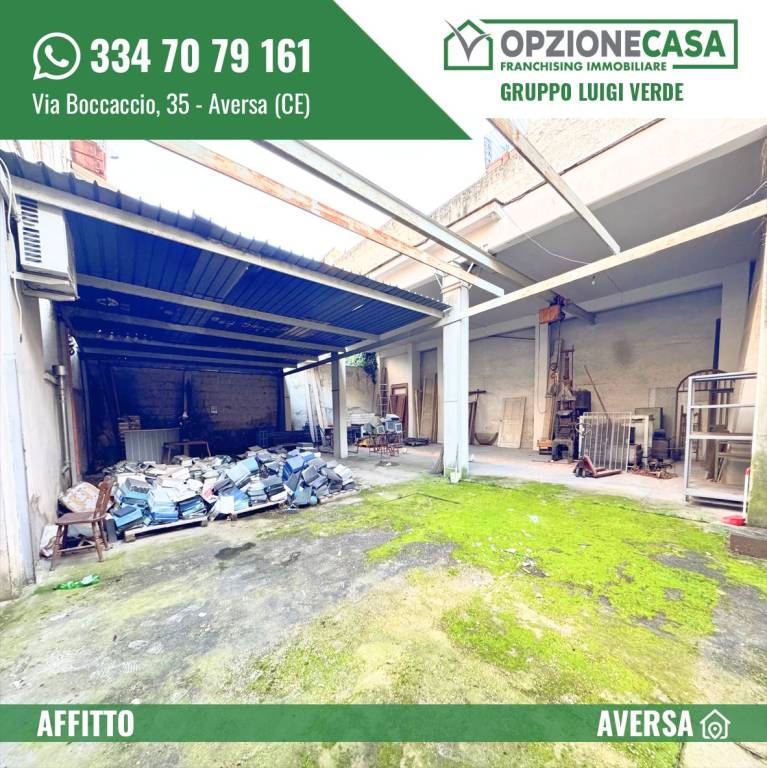 immagine annuncio 8 di 15