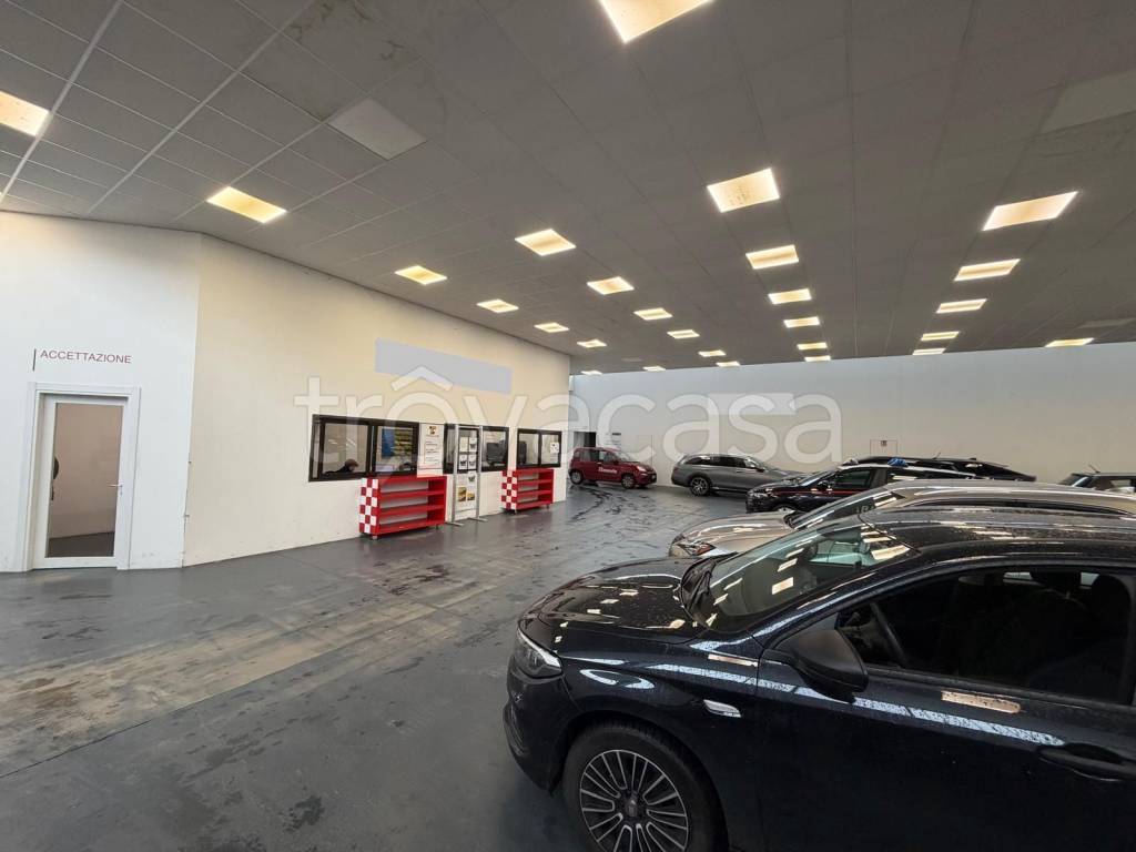 immagine annuncio 11 di 15