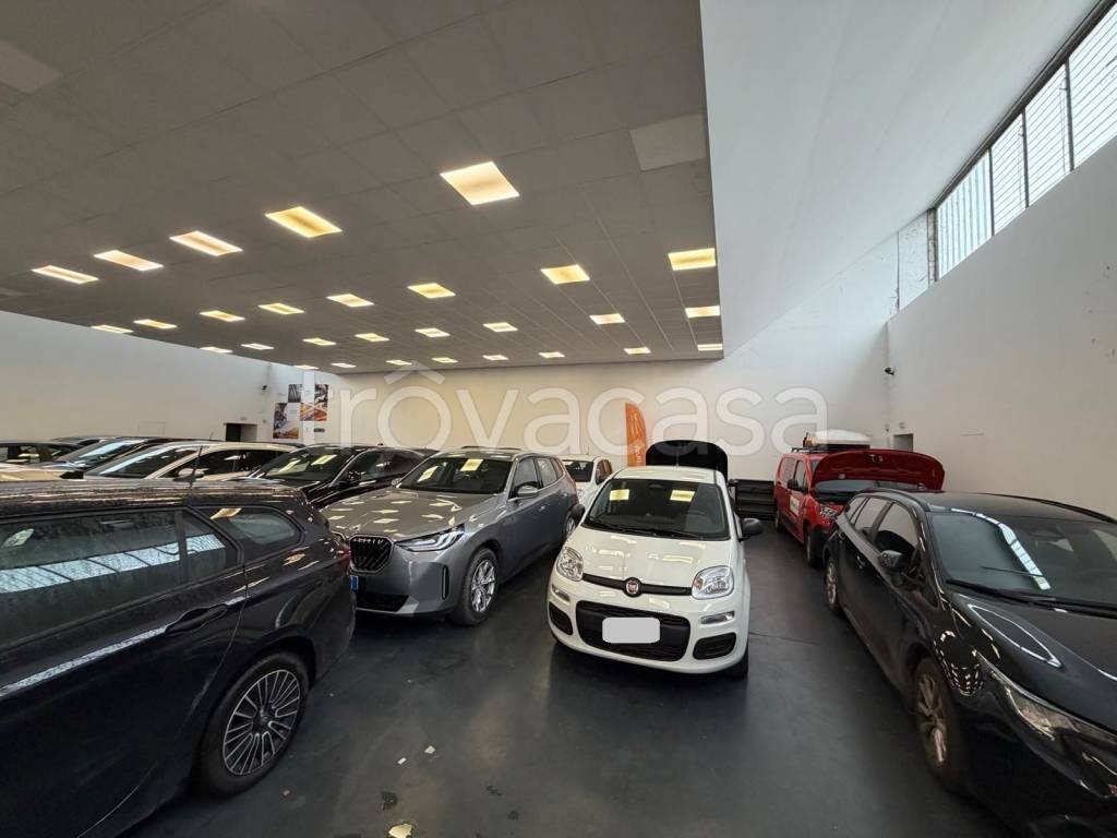 immagine annuncio 13 di 15