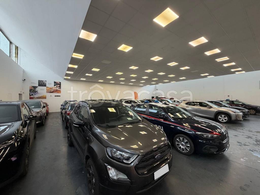 immagine annuncio 14 di 15