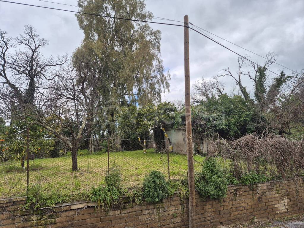 immagine annuncio 1 di 7