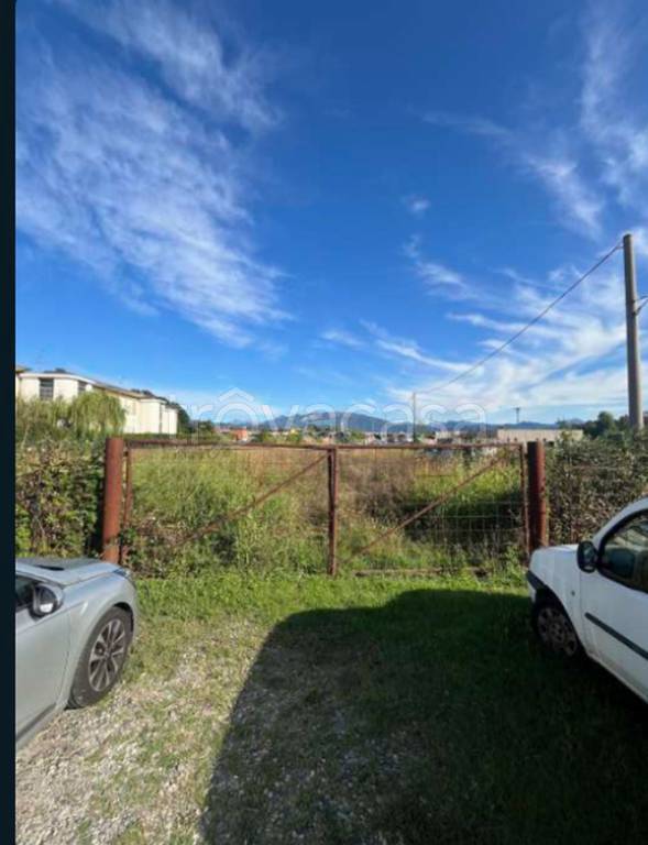 immagine annuncio 1 di 12