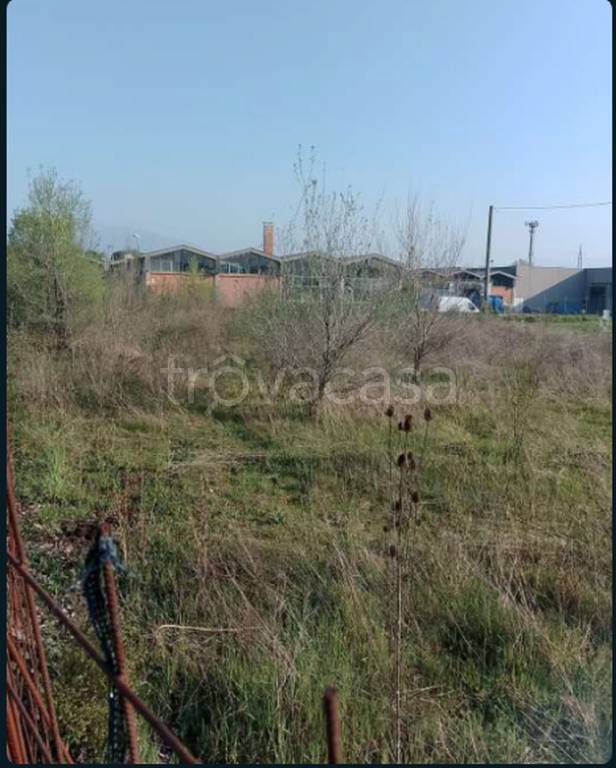 immagine annuncio 3 di 12