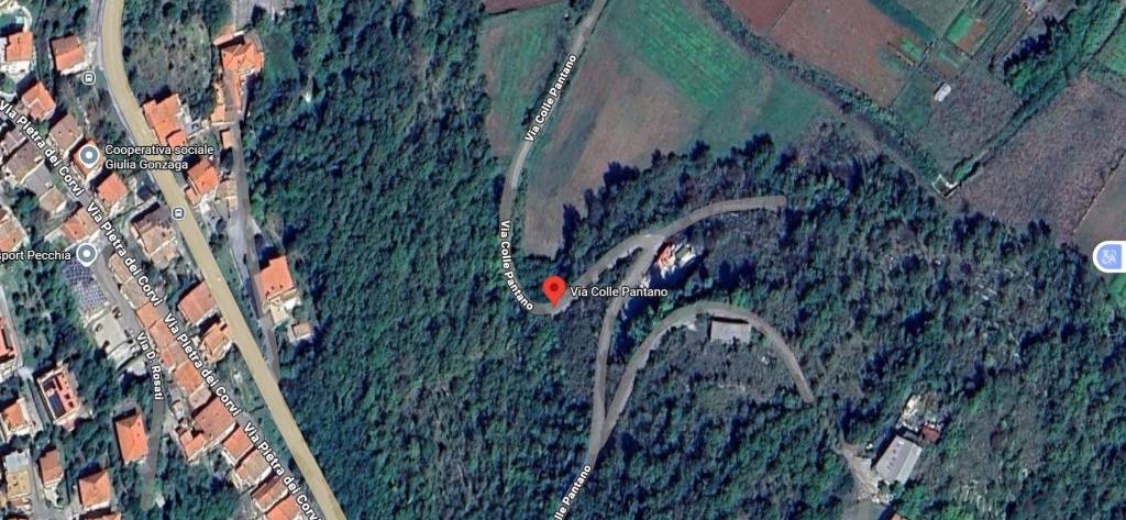 immagine annuncio 8 di 11