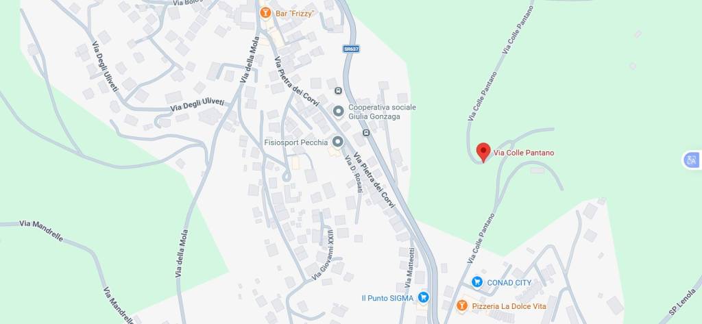 immagine annuncio 10 di 11