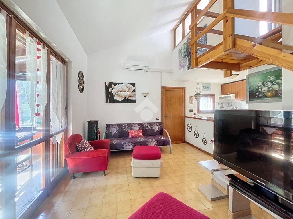 immagine annuncio 9 di 15