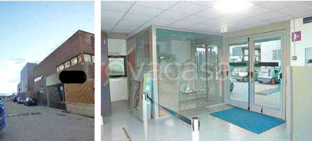 immagine annuncio 3 di 12