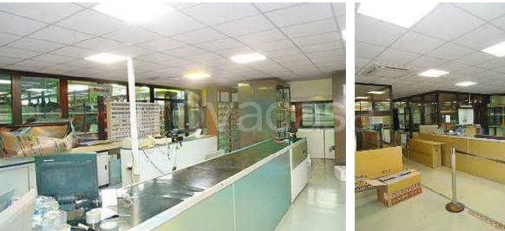 immagine annuncio 4 di 12