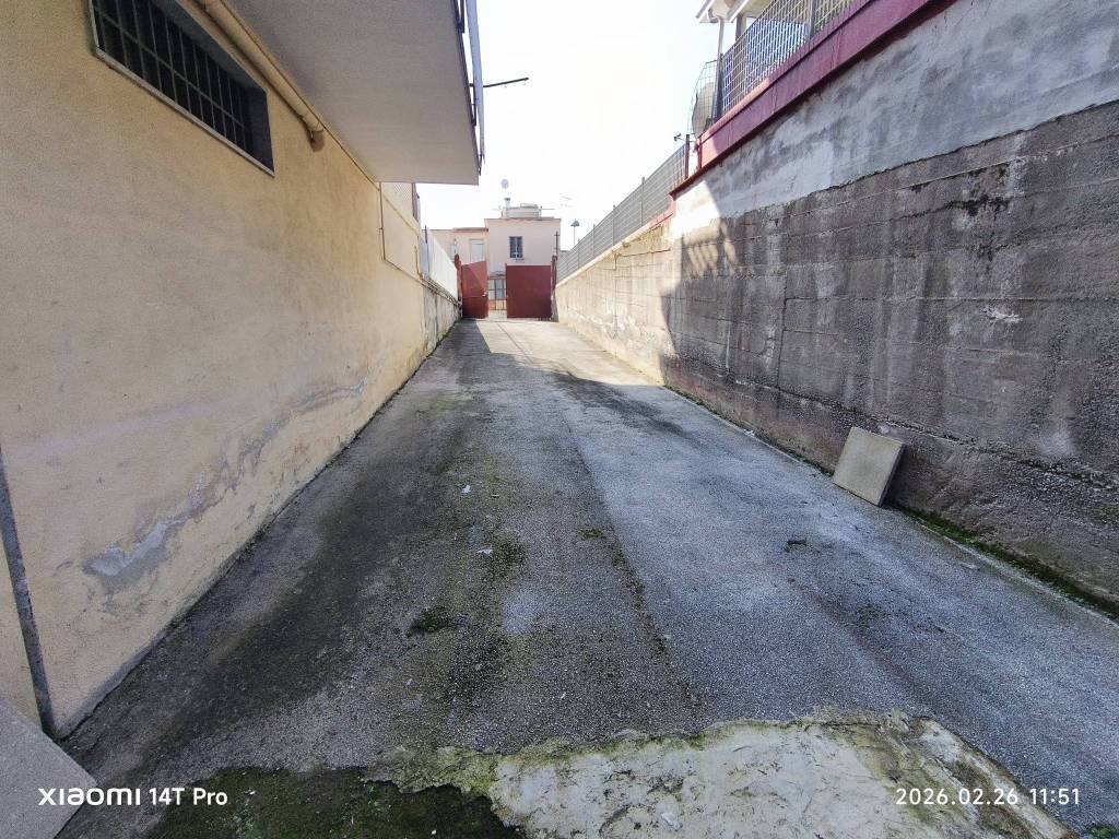 immagine annuncio 3 di 7