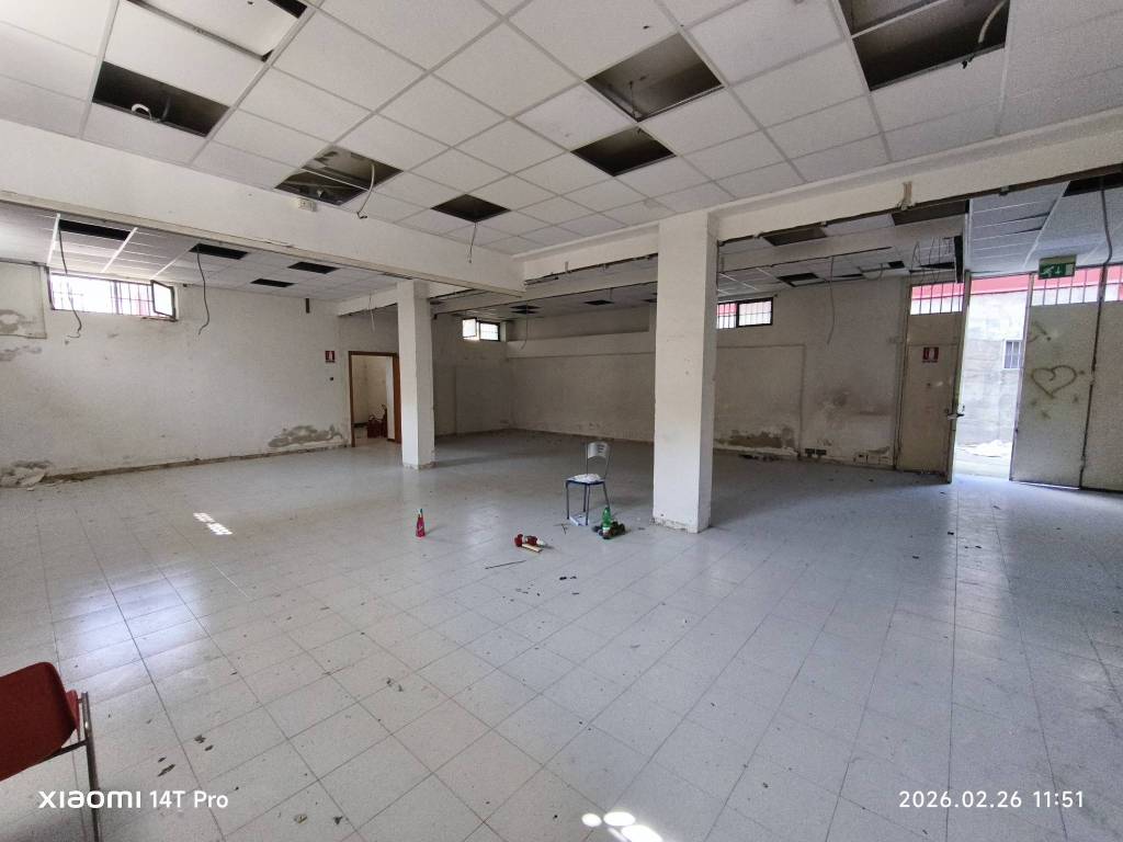 immagine annuncio 4 di 7