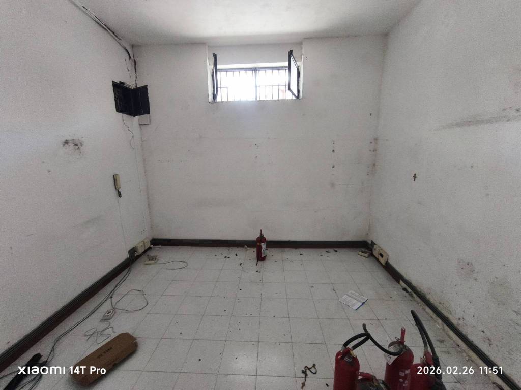 immagine annuncio 5 di 7