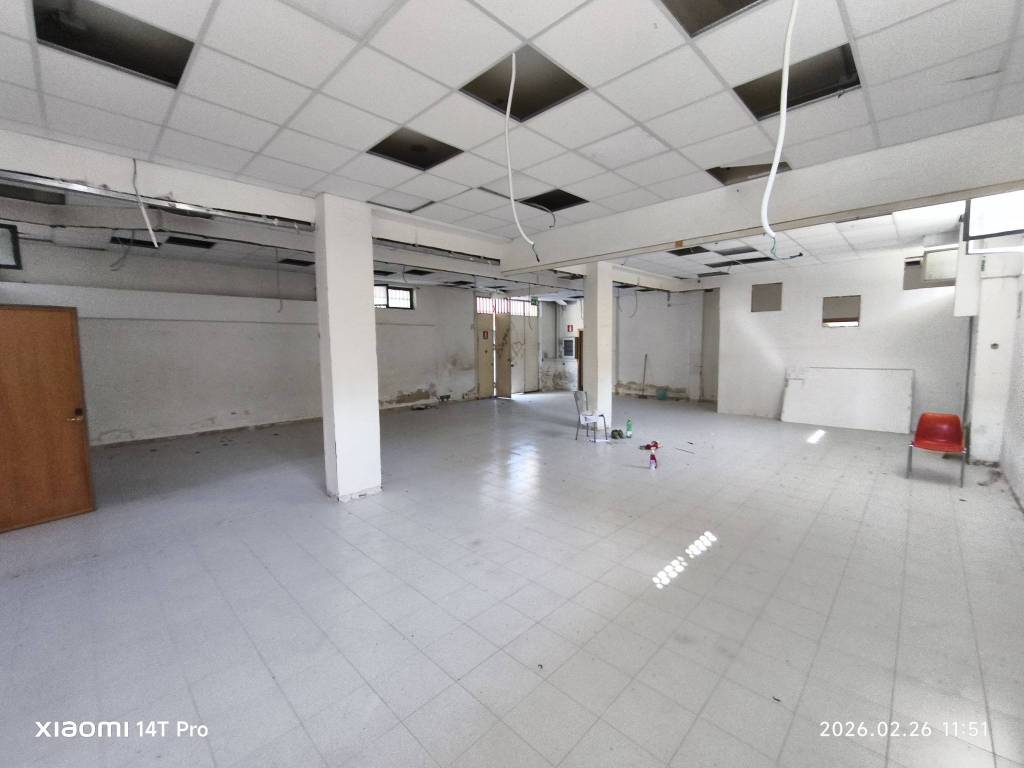 immagine annuncio 6 di 7