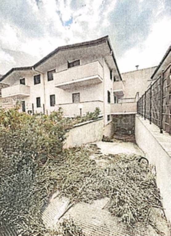 immagine annuncio 2 di 14