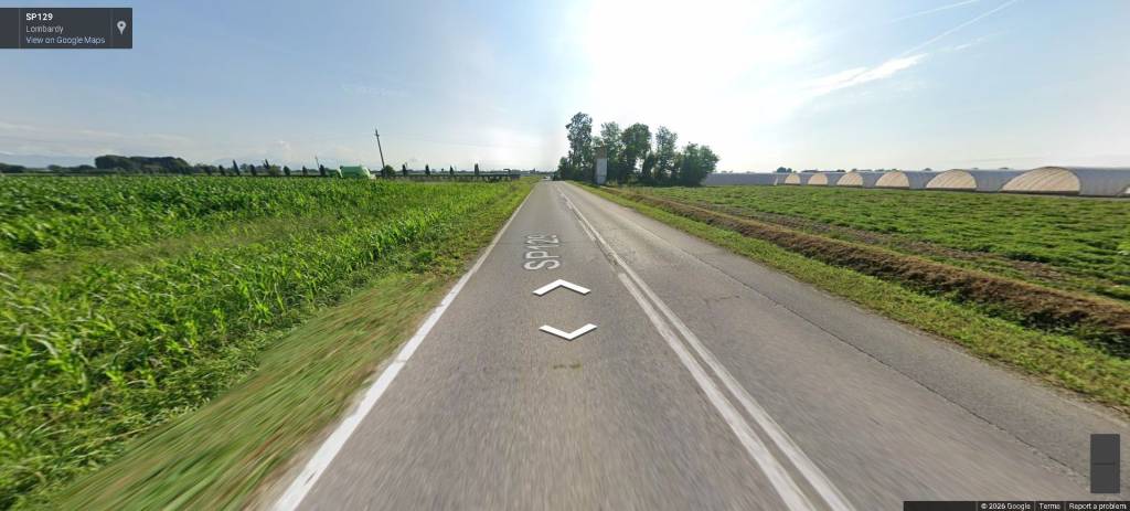 immagine annuncio 5 di 12