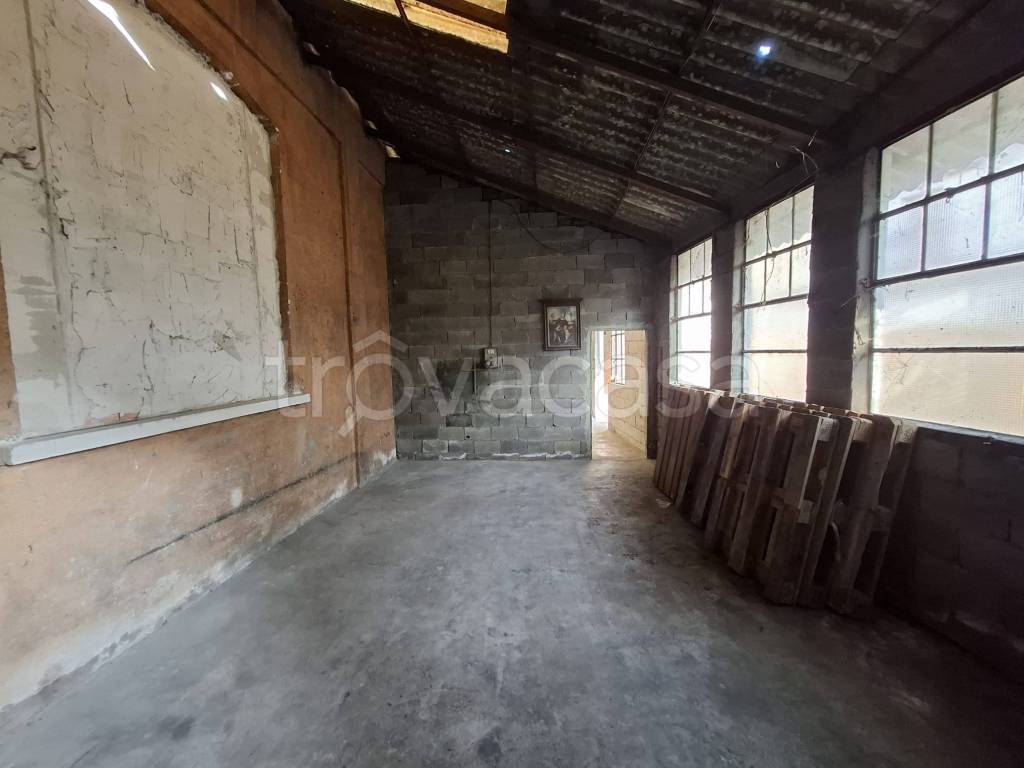 immagine annuncio 4 di 12