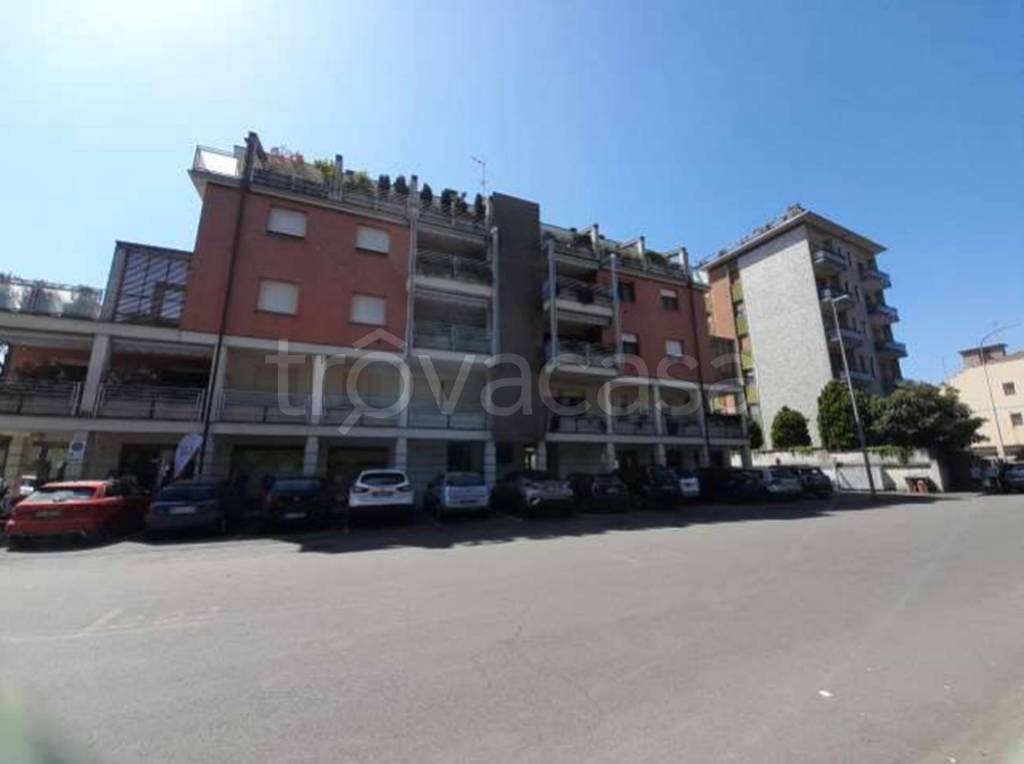 immagine annuncio 1 di 11