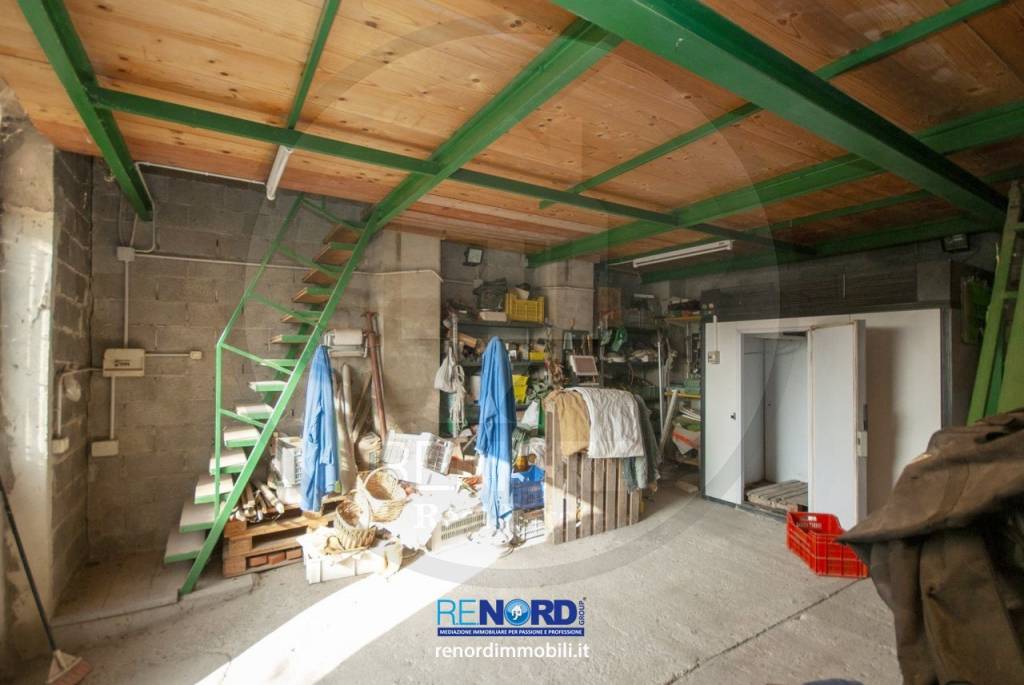 immagine annuncio 4 di 8