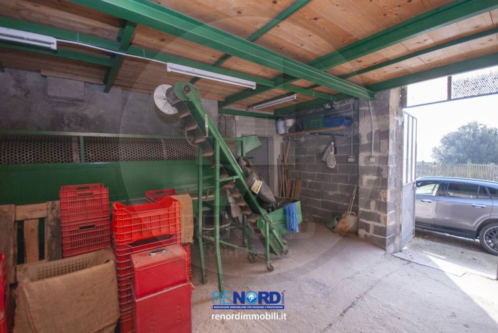 immagine annuncio 7 di 8