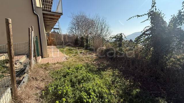 immagine annuncio 9 di 12