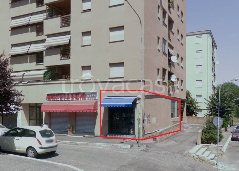 immagine annuncio 3 di 13