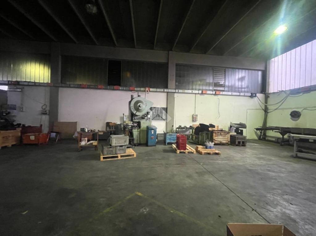 immagine annuncio 6 di 15