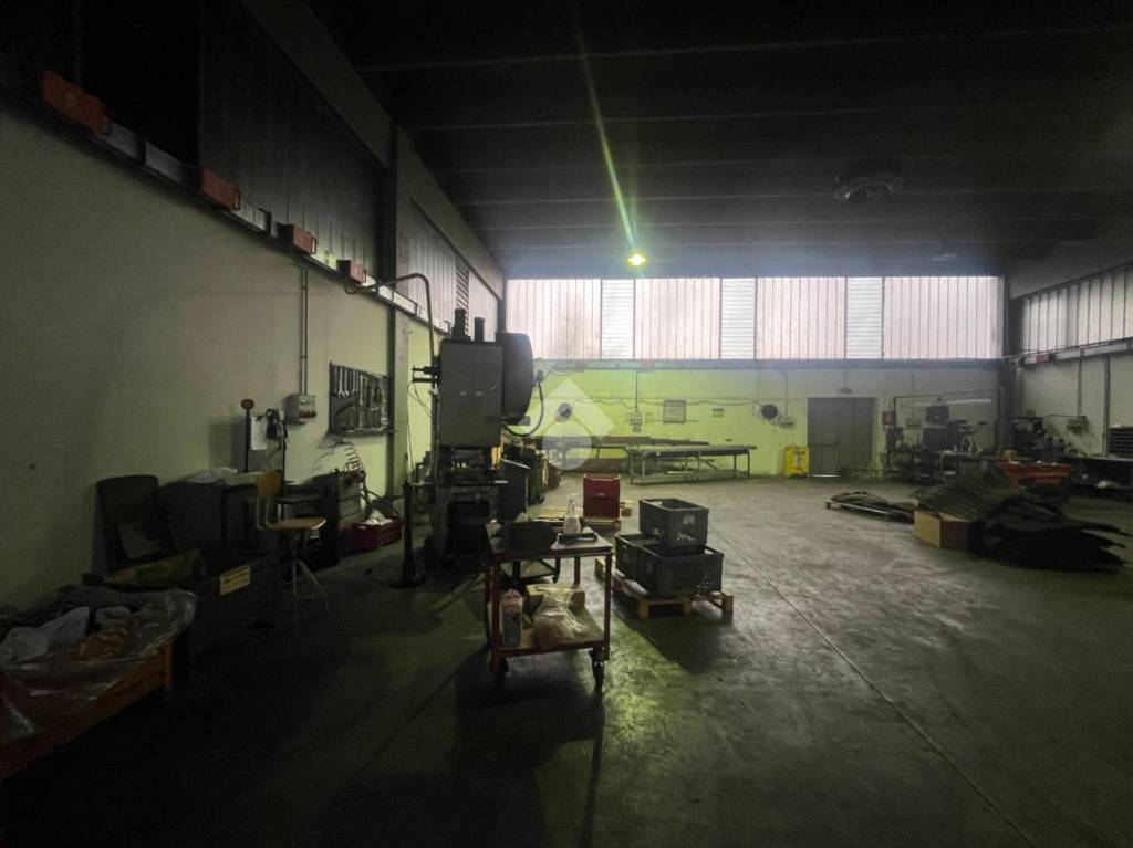 immagine annuncio 11 di 15