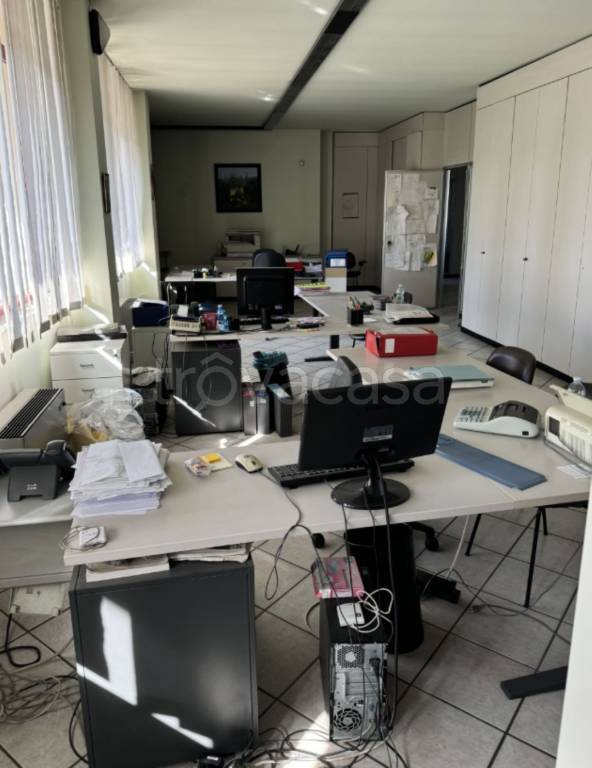 immagine annuncio 7 di 11