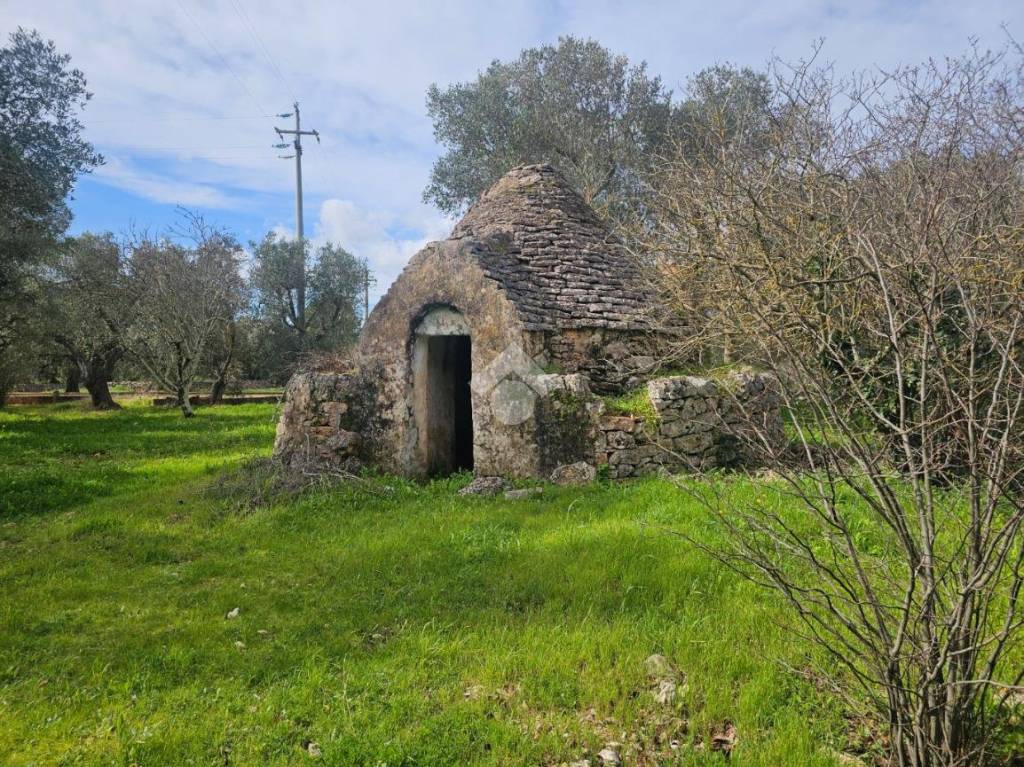 immagine annuncio 2 di 14