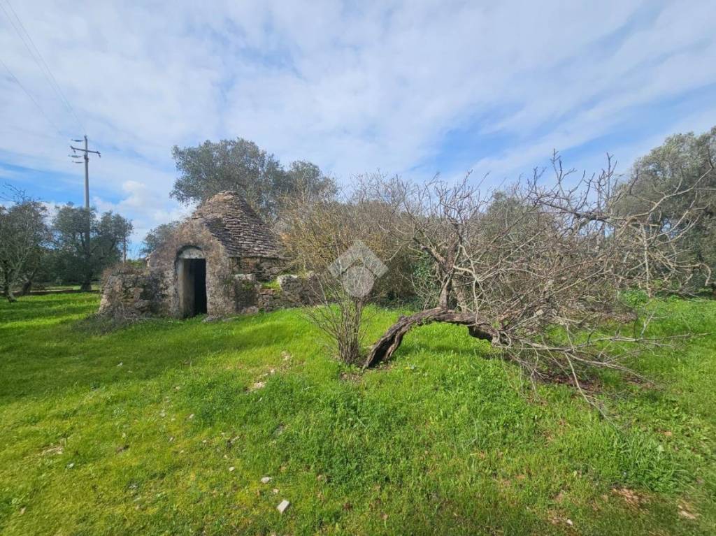 immagine annuncio 3 di 14