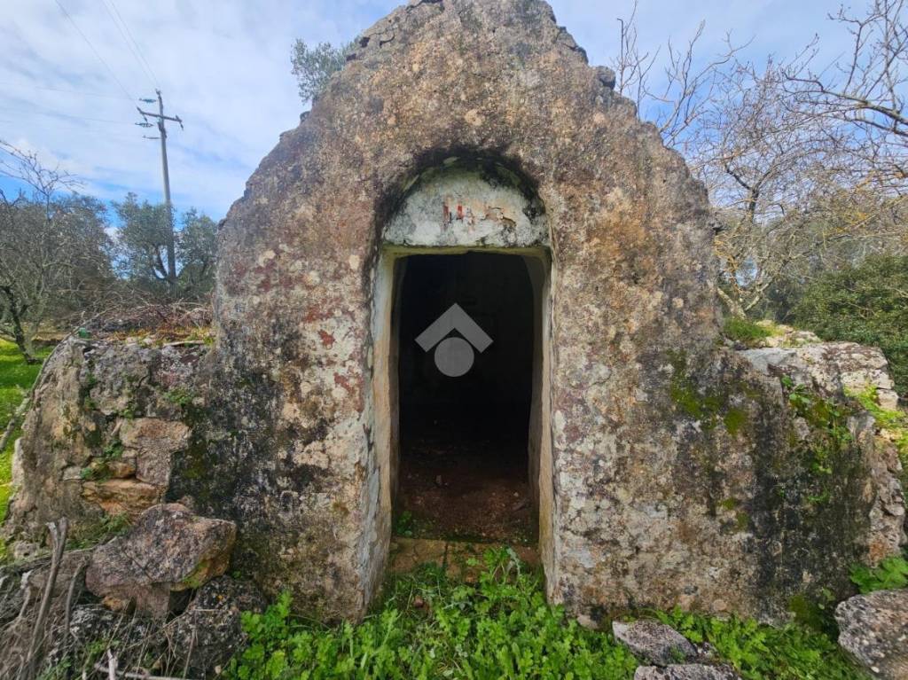 immagine annuncio 4 di 14