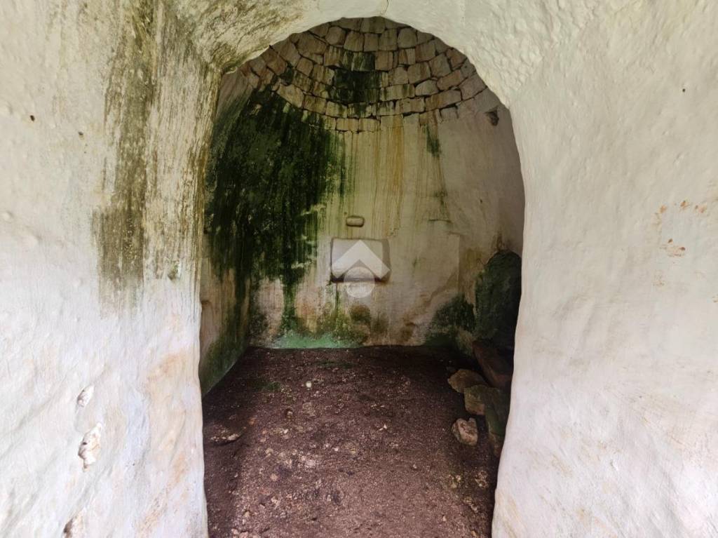 immagine annuncio 5 di 14