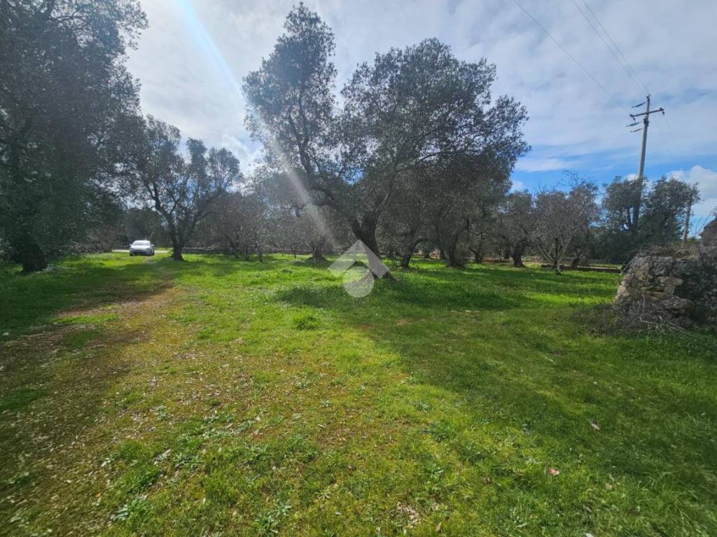 immagine annuncio 10 di 14