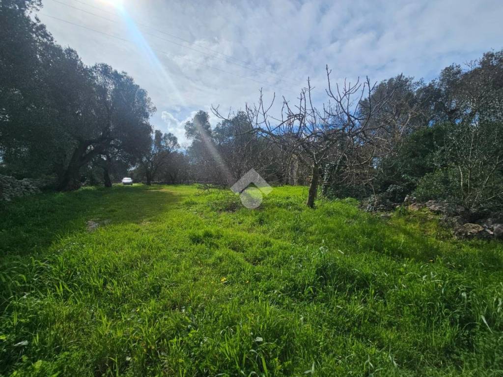 immagine annuncio 12 di 14