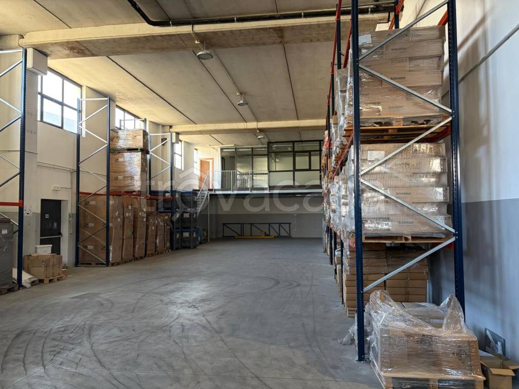 immagine annuncio 5 di 15