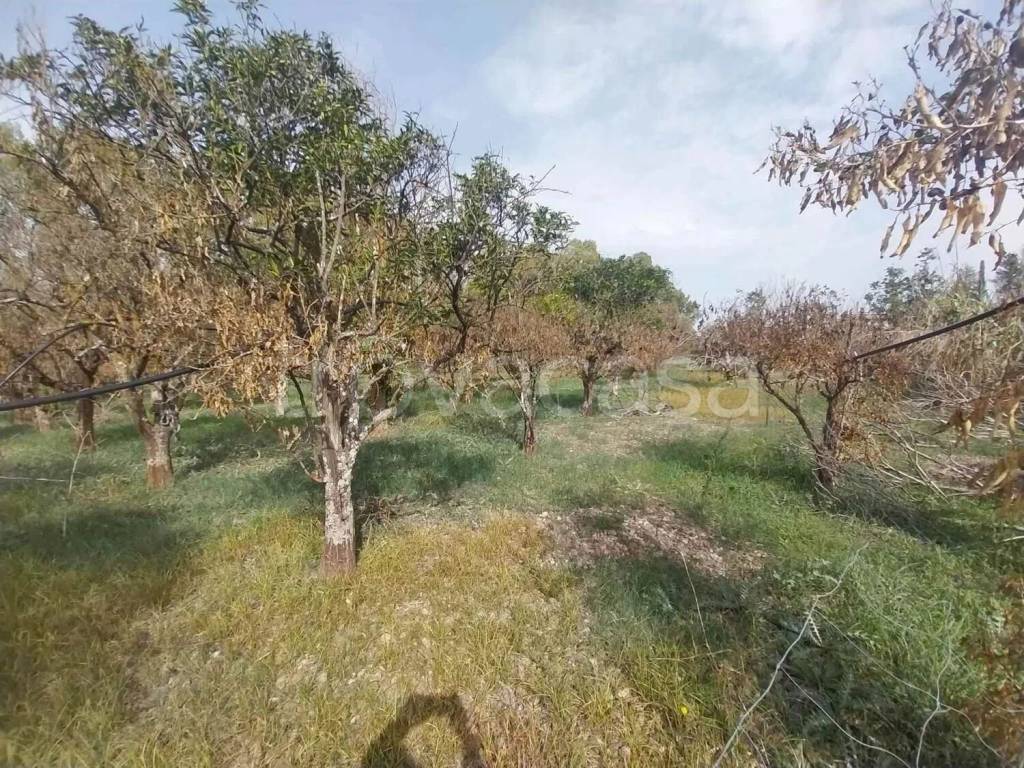 immagine annuncio 9 di 13