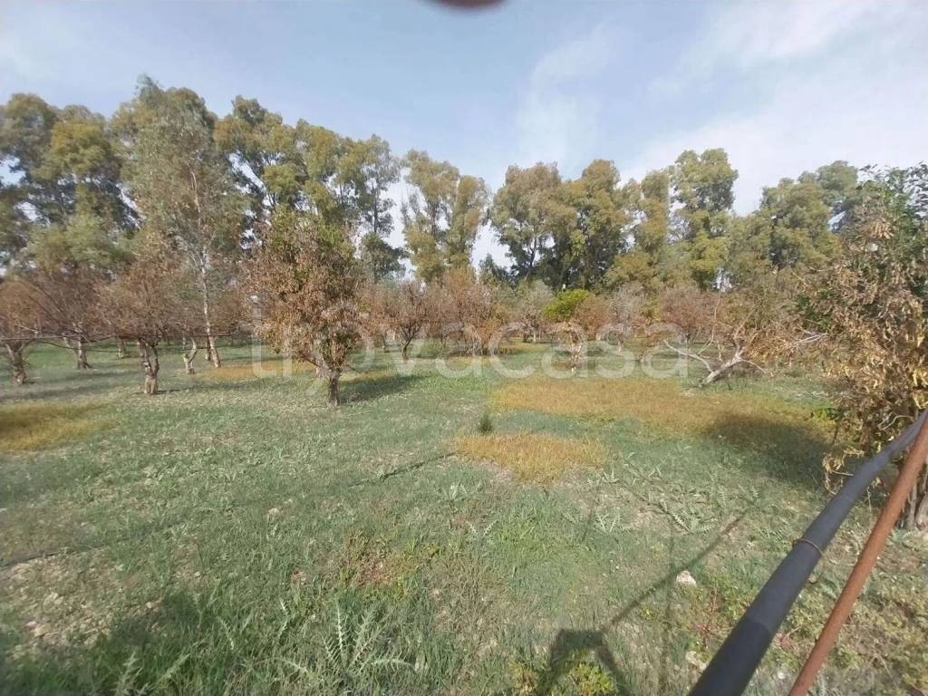 immagine annuncio 10 di 13