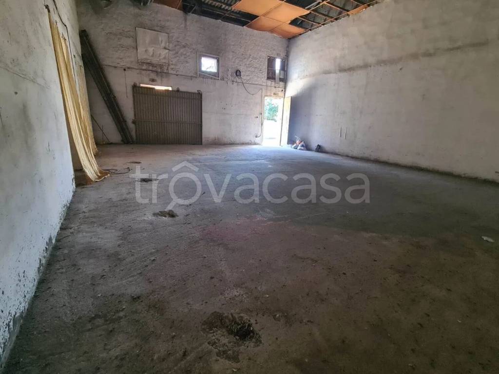 immagine annuncio 7 di 12