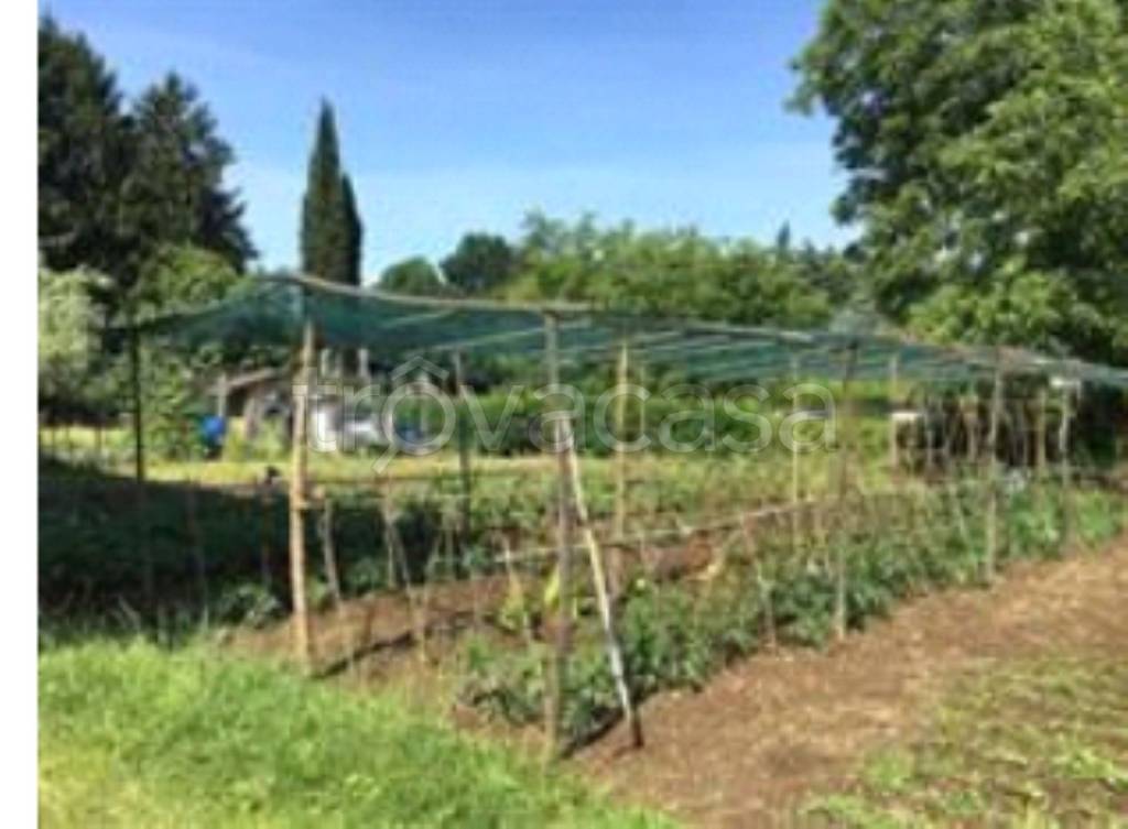 immagine annuncio 3 di 9