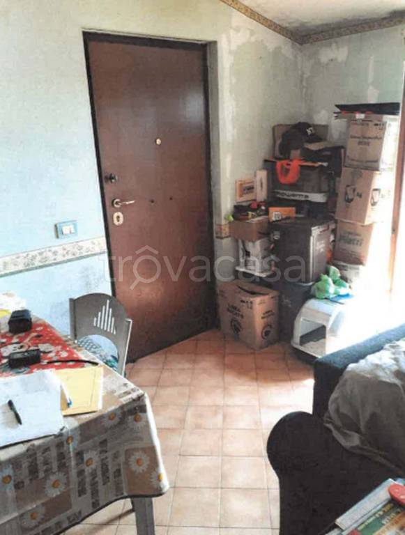 immagine annuncio 1 di 14